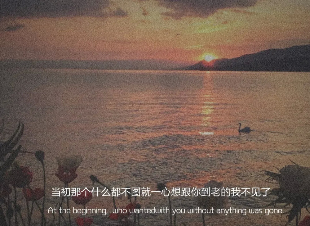 特别失望心酸的文案:本来打了很多字,但都删掉了,一别