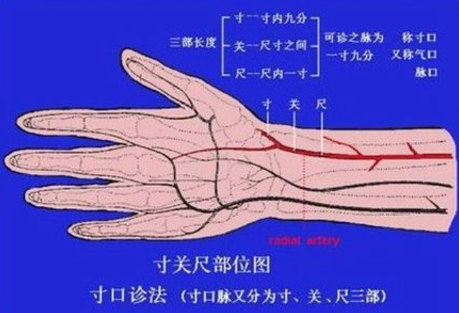 把脉看怀孕是看"滑脉,青壮年也可能有这种脉象,到底准不准?