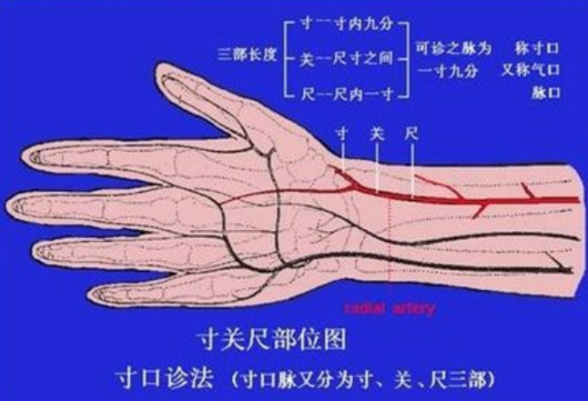 把脉看怀孕是看滑脉青壮年也可能有这种脉象到底准不准