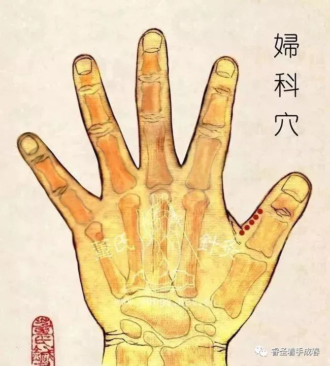 【妇科五穴】