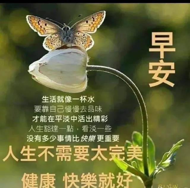 早安问候朋友的暖心祝福语短信,最漂亮的早安祝福文字