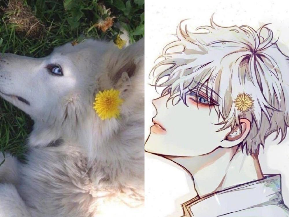 画师将宠物拟人化猫咪一家颜值逆天沙雕二哈也能变韩系帅哥
