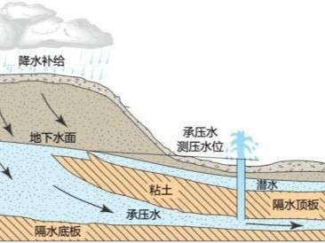 大洼县人口_大洼县高级中学图片(2)