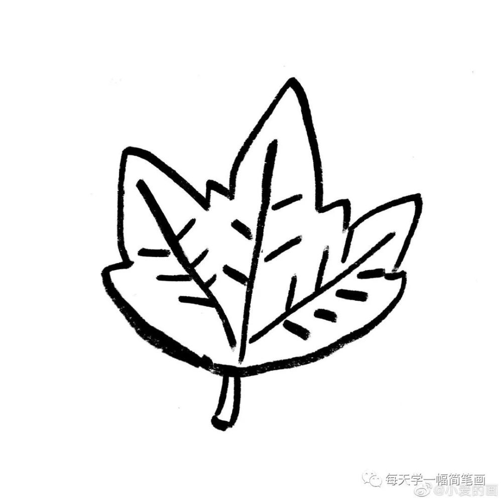 每天学一幅简笔画-爱的秋叶和秋实大家画秋天的小画儿