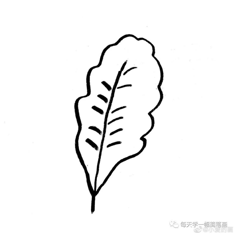 每天学一幅简笔画-爱的秋叶和秋实大家画秋天的小画儿