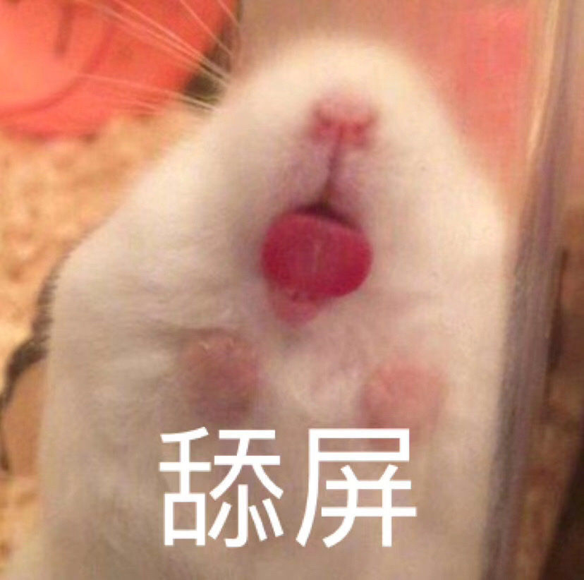萌宠表情包:略略略,有本事来亲我啊!