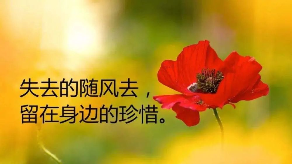 四十岁以后的人生感悟!
