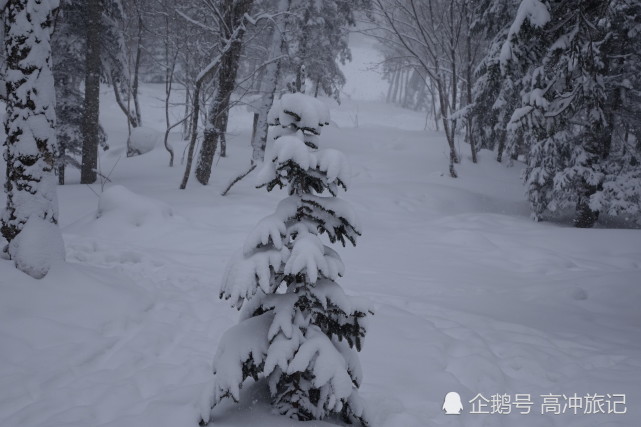 冬天到了,去黑龙江最东北,欣赏雪乡最美雪景