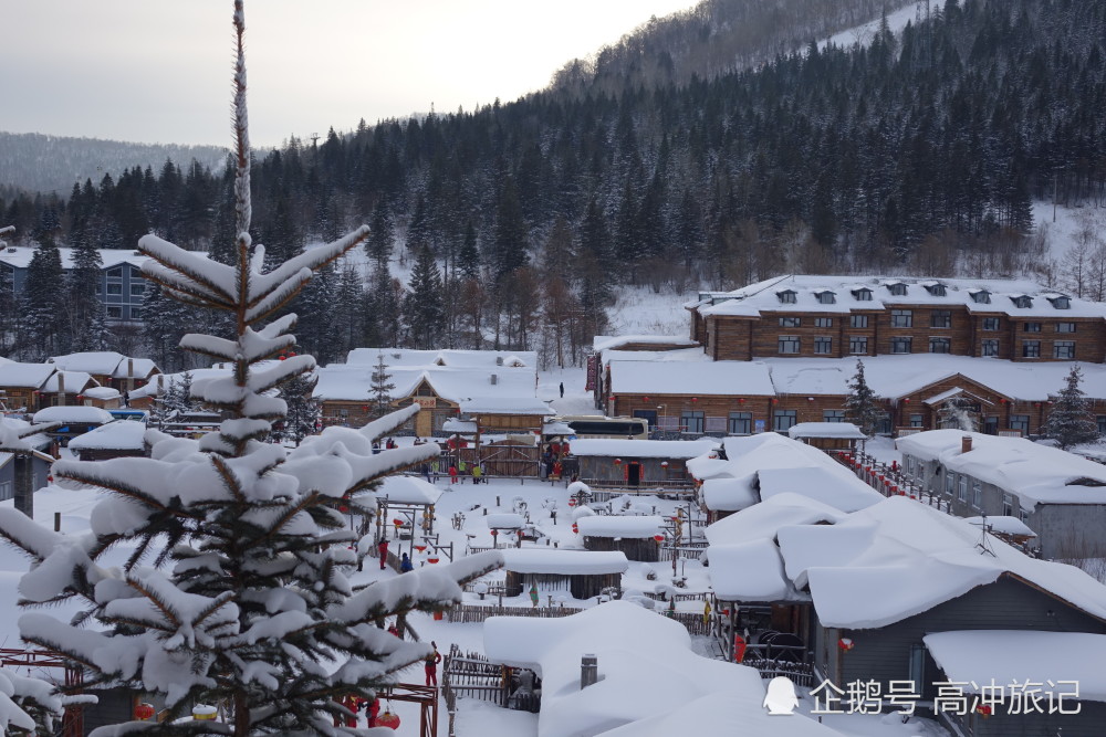 冬天到了去黑龙江最东北欣赏雪乡最美雪景