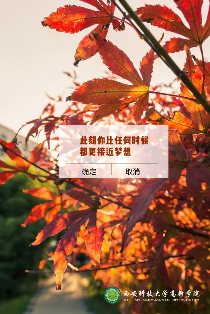 稳住!你们能行