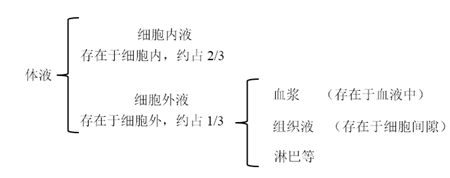 血液并不全是体液,体液包括细胞细胞内液和细胞外液,细胞外液又包括