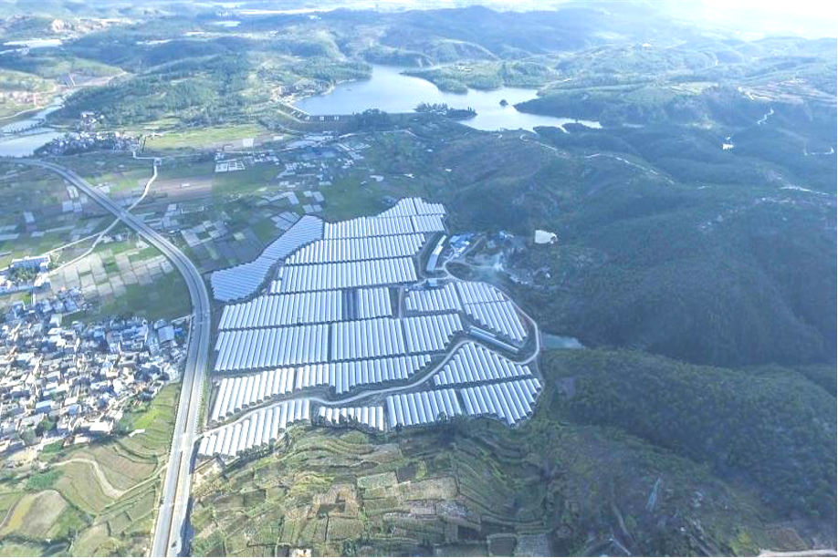 村委会的天华山基地和临安镇西湖村委会的西湖蓝莓基地里务工两年多