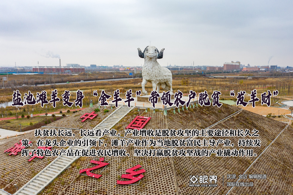 2017年第几次人口普查_2020年人口普查图片(2)