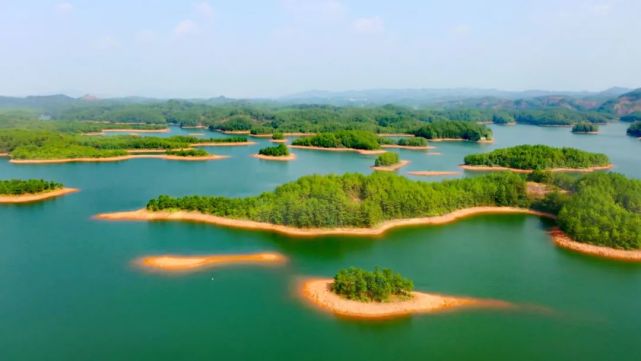 孔江国家湿地公园保护野生动植物推进生态文明建设