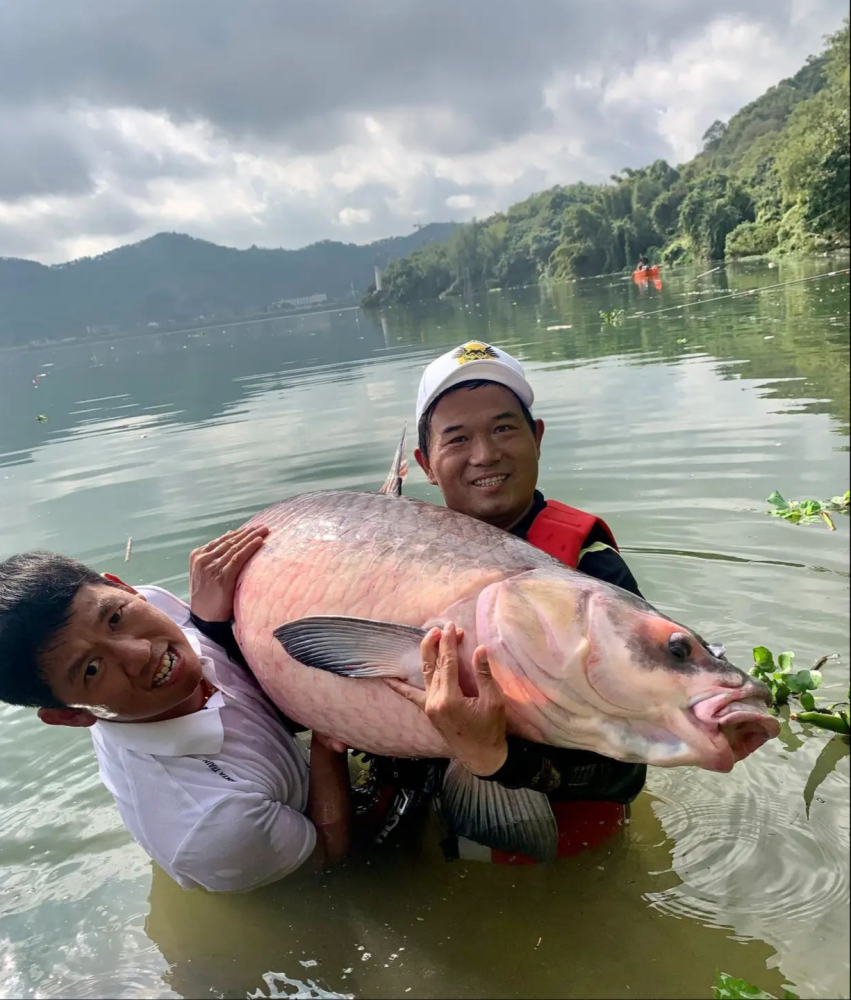 邓刚钓获百斤大青鱼引发争议,钓友质疑的不是鱼,而是大师