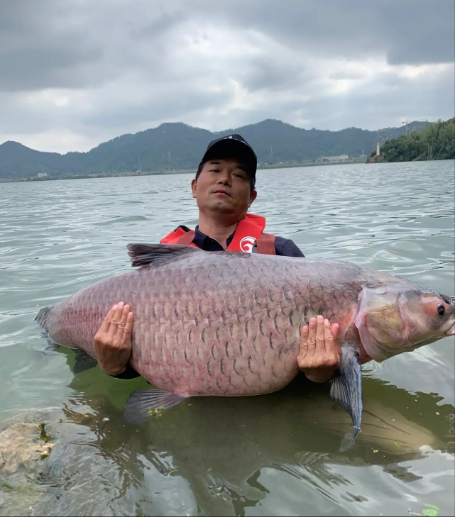 邓刚钓获百斤大青鱼引发争议钓友质疑的不是鱼而是大师