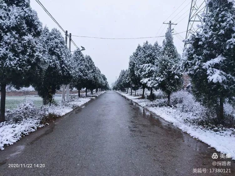 2020年的第一场雪——凤翔乡村雪景