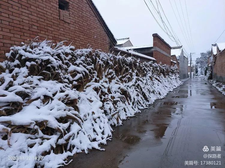 2020年的第一场雪——凤翔乡村雪景