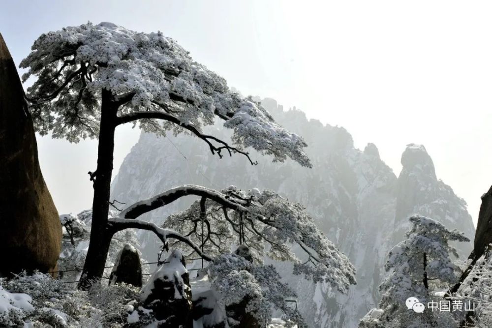 宛如童话世界,少女的琉璃梦境,山风,松涛都美得止住了声息,偶尔窸窣的