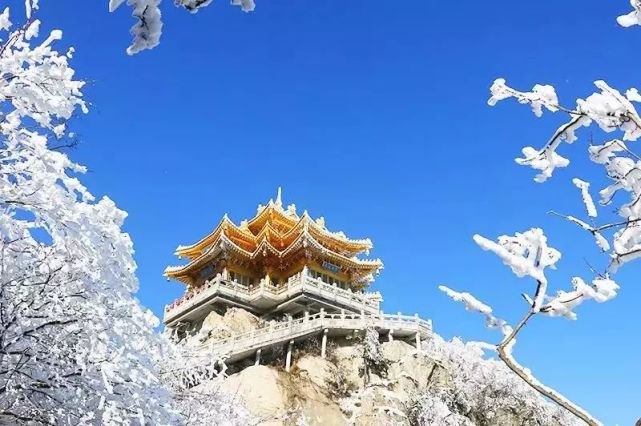 2020老君山冰雪雾淞节盛装开启！不封山，只疯玩