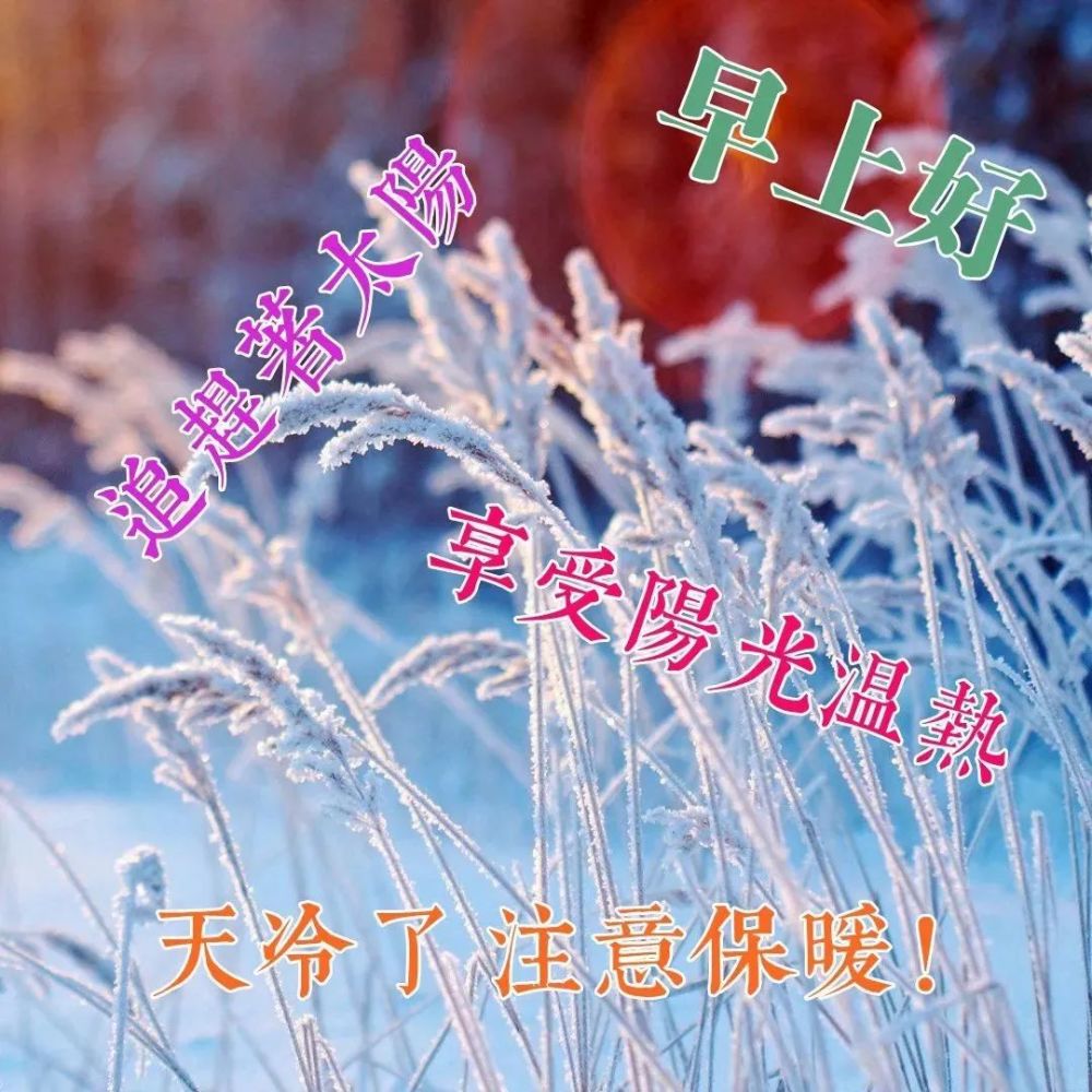 冬天早上好问候语动态图片最新版2022冬天早安祝福语图片大全