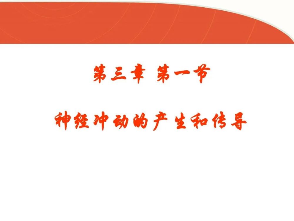 高中生物《神经冲动的产生和传导》微课精讲 知识点 课件教案习题