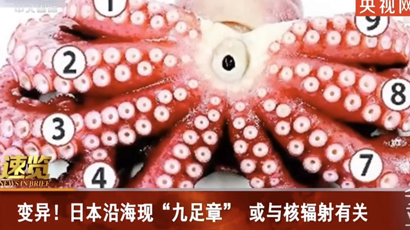 日本沿海出现九足章鱼,这个变异可能与核辐射有关