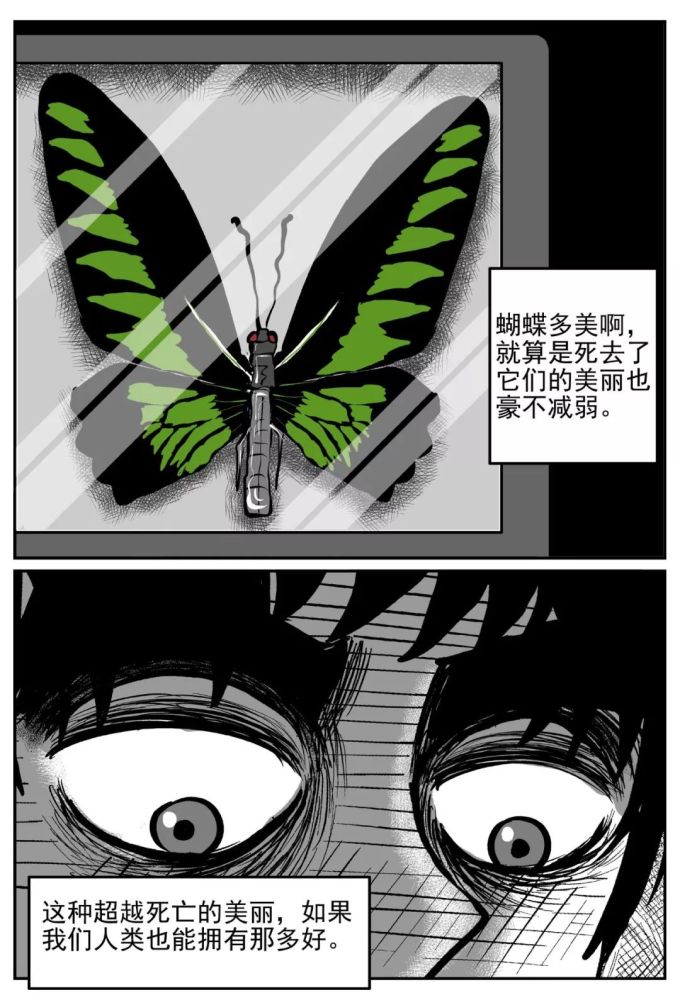 人性惊悚漫画,传说中的鬼美人凤蝶