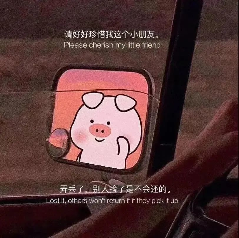 抖音背景图|要什么避风港,钞票才是梦想