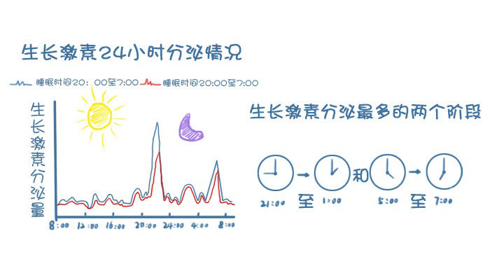 了解生长激素分泌的特点