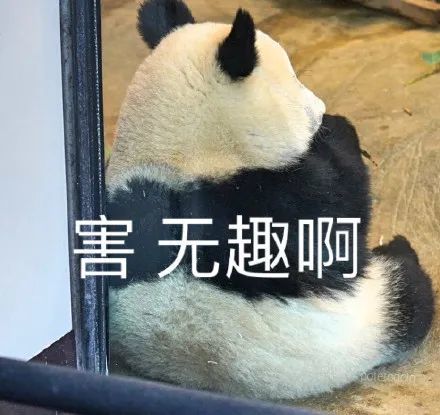 表情包大熊猫180度鞠躬