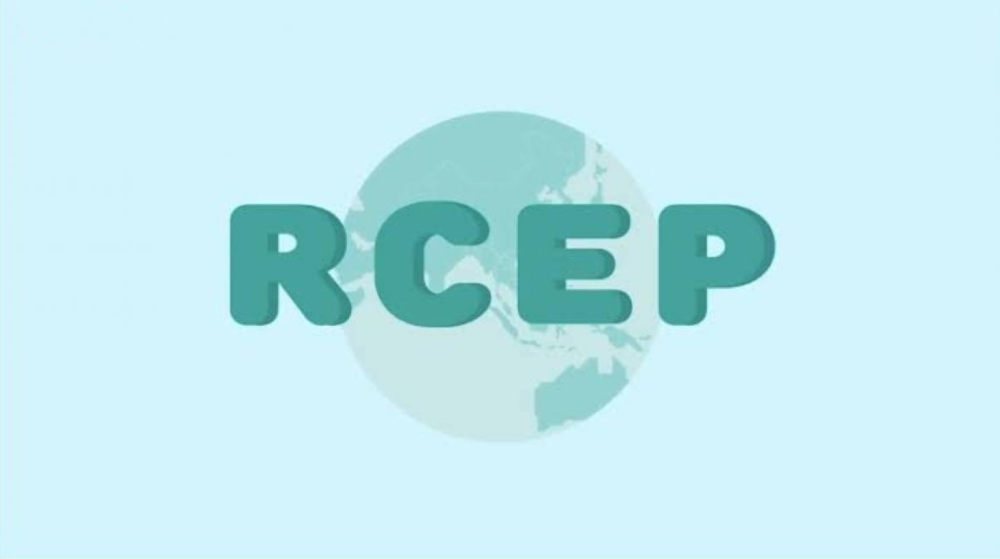 rcep成员国经济总量_rcep成员国图片(2)