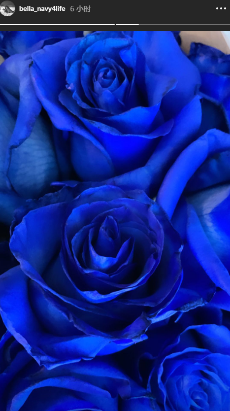高以翔去世一周年,女友bella晒蓝玫瑰纪念,花寓意让人