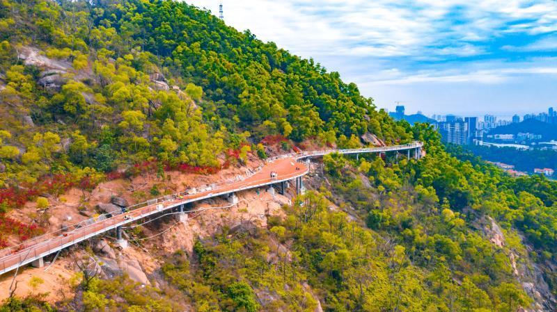 凤凰山山地步道:智能化,人性化 沿线景观丰富