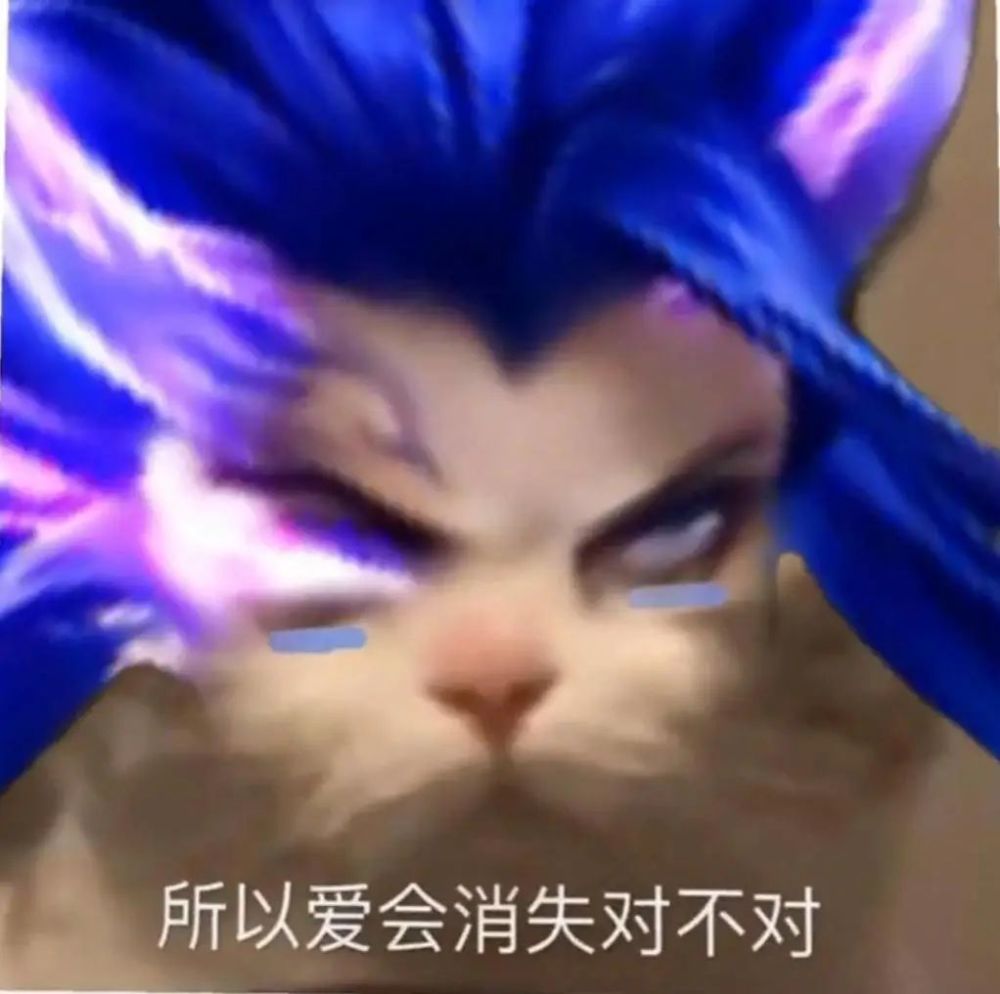 王者表情包|酷酷的猫咪接头王者头像,所以爱会消失对不对