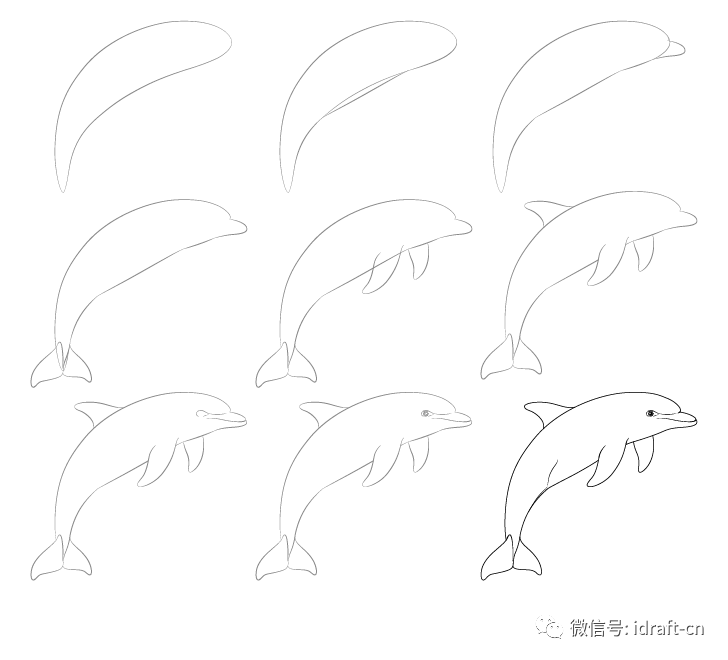 海豚的线稿画法动物素描教程