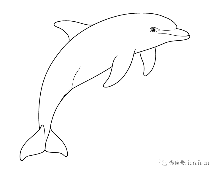 海豚的线稿画法动物素描教程