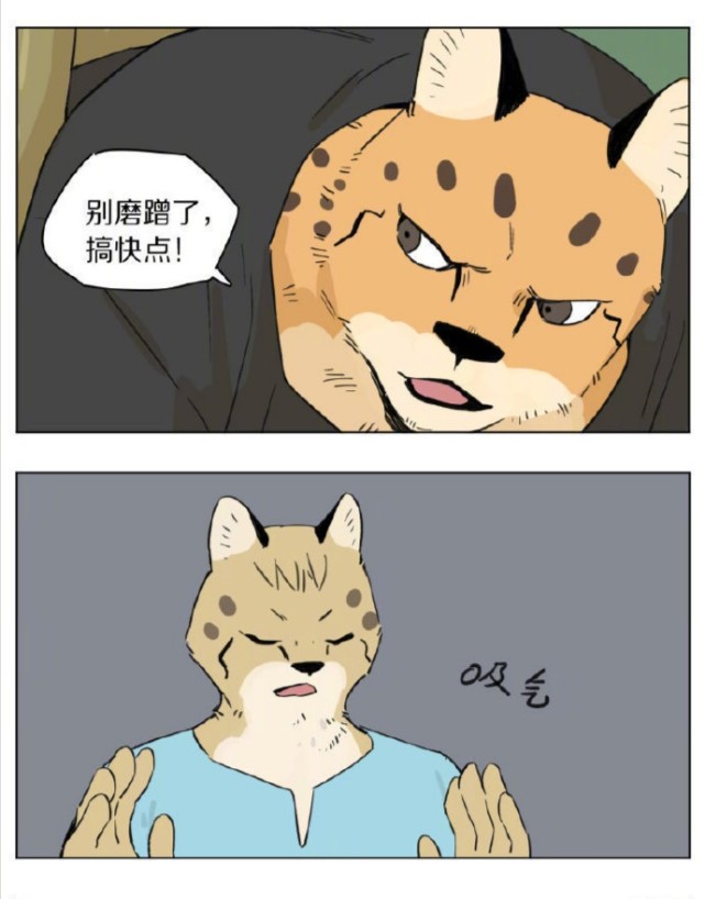 豹子被树卡住,漫画家趁机拟人,画面肥肠豹笑
