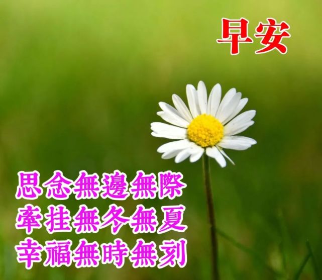 11月27日 早上好!快乐拥抱你;温馨追随你;幸福环绕你