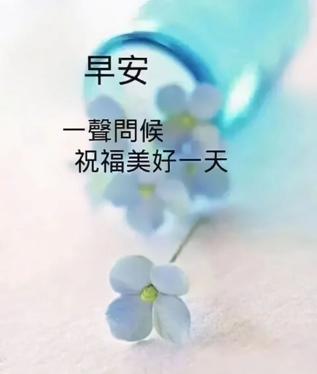 4月22日最漂亮的早上好祝福语图片温馨清晨群发短语暧心问候动图