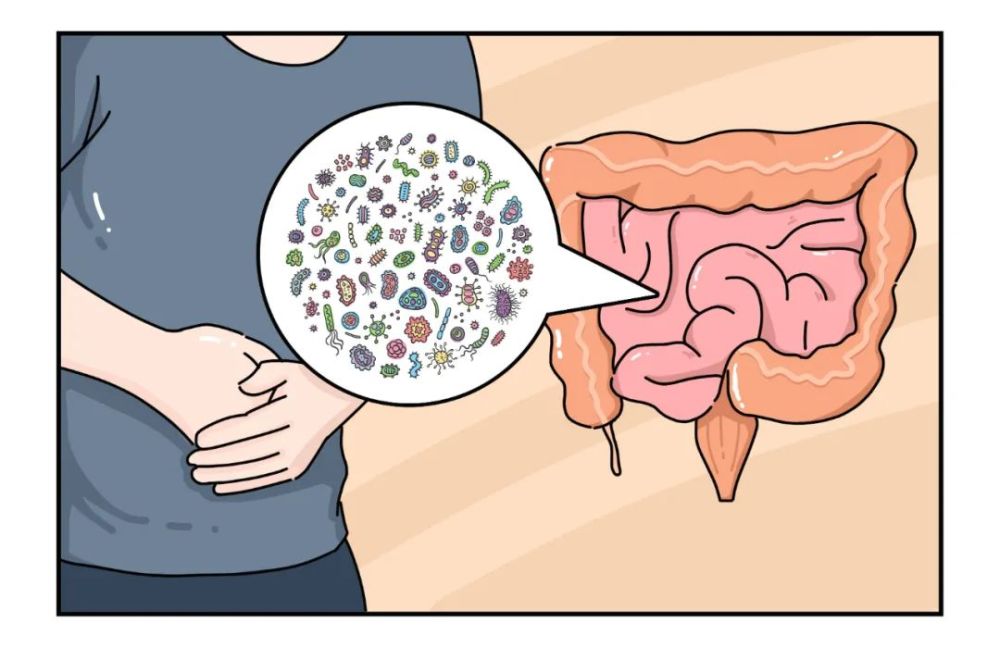 肠道菌群失调竟然这么可怕,很多人还意识不到