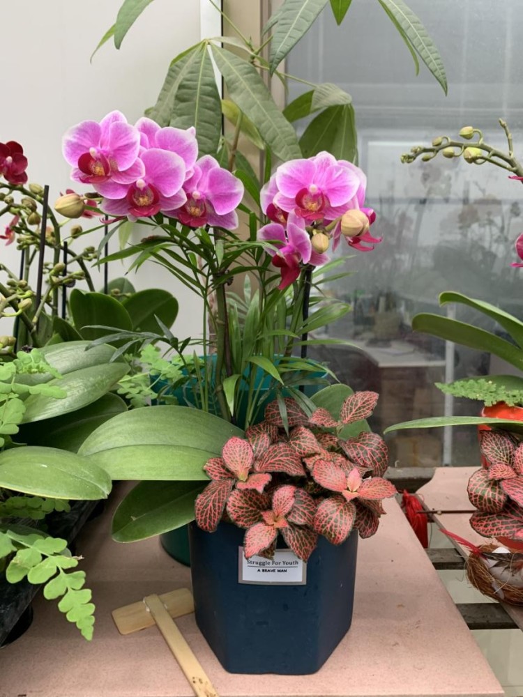 翁源 gdp_翁源中学图片(3)