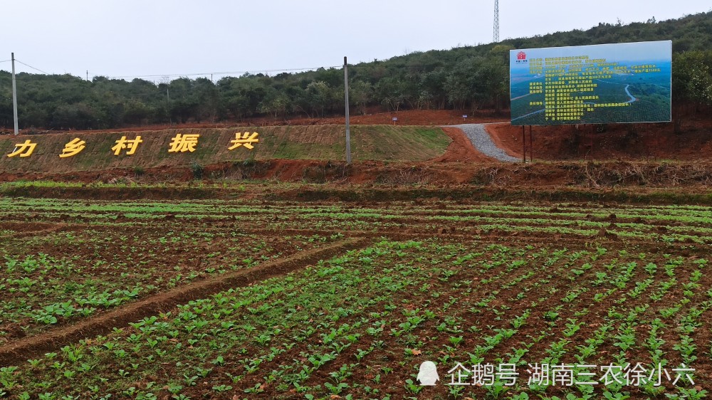 永州祁阳观音滩镇人口_祁阳观音滩镇房子图片(2)