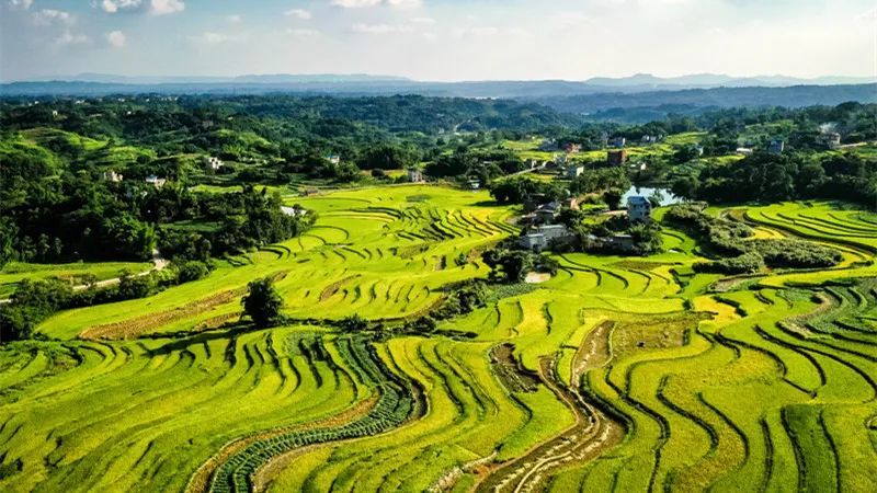 四川泸县宋代石刻博物馆位于风景名胜区玉蟾山东北麓温泉度假区内,依