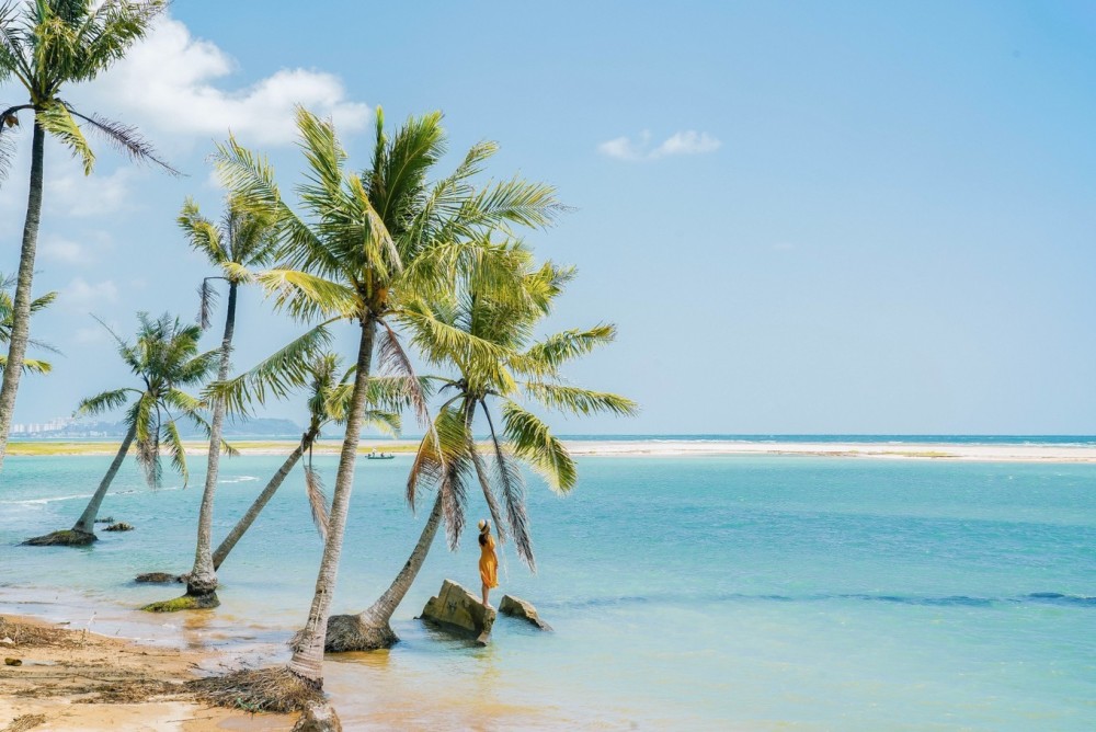 在椰子洲岛长于水里的椰子树下,眺望那碧海蓝天,眼前美得不像是人间.