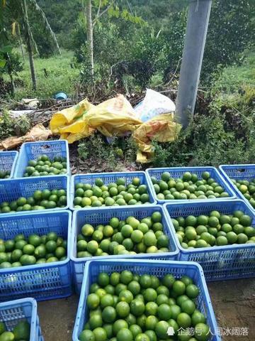 海南人均gdp 2019年_2020海南gdp统计图