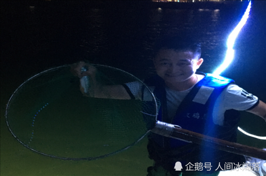 海南人均gdp 2019年_2020海南gdp统计图(3)