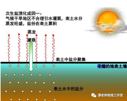 关于盐碱化你应该知道的地理知识