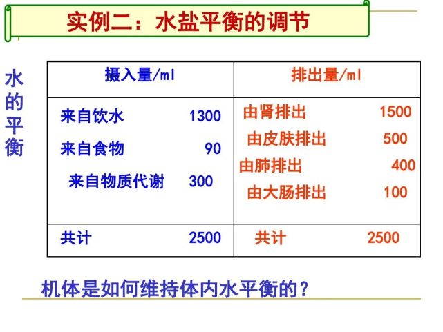 高中生物《体液调节与神经调节的关系》微课精讲 知识点 课件教案习题