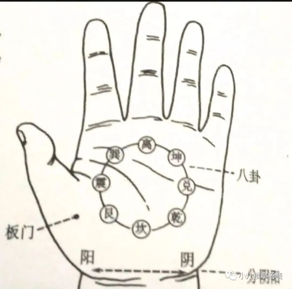 小儿推拿杨晓:小儿推拿中顺运内八卦与逆运内八卦的区别有哪些?